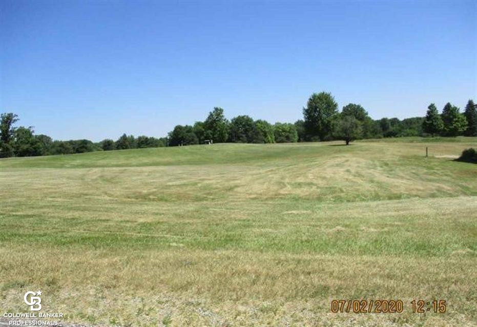 00 Belle River Lot R Road, MI — Photo 6