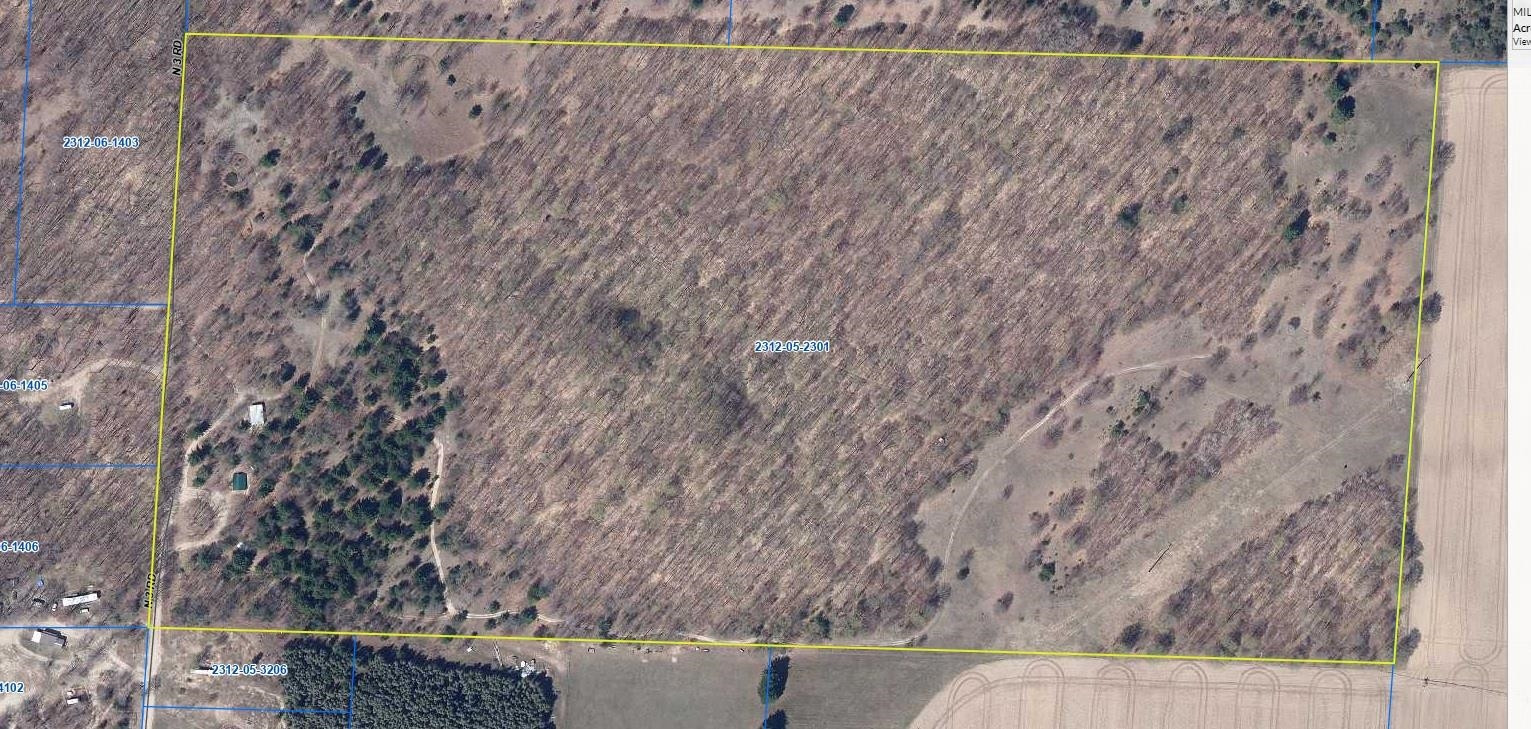 5560 N 3, Mesick, MI 49668 — Photo 2