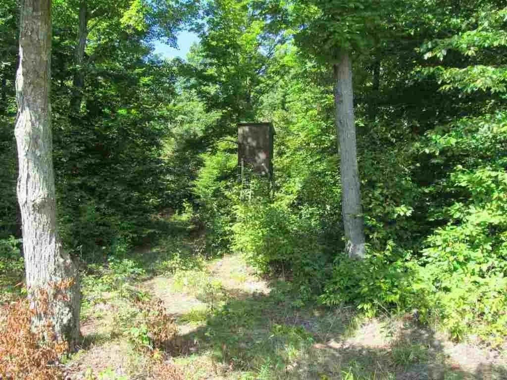 5560 N 3, Mesick, MI 49668 — Photo 6