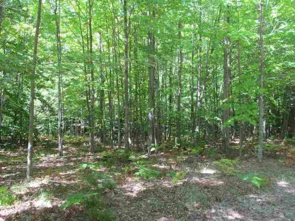 5560 N 3, Mesick, MI 49668 — Photo 8