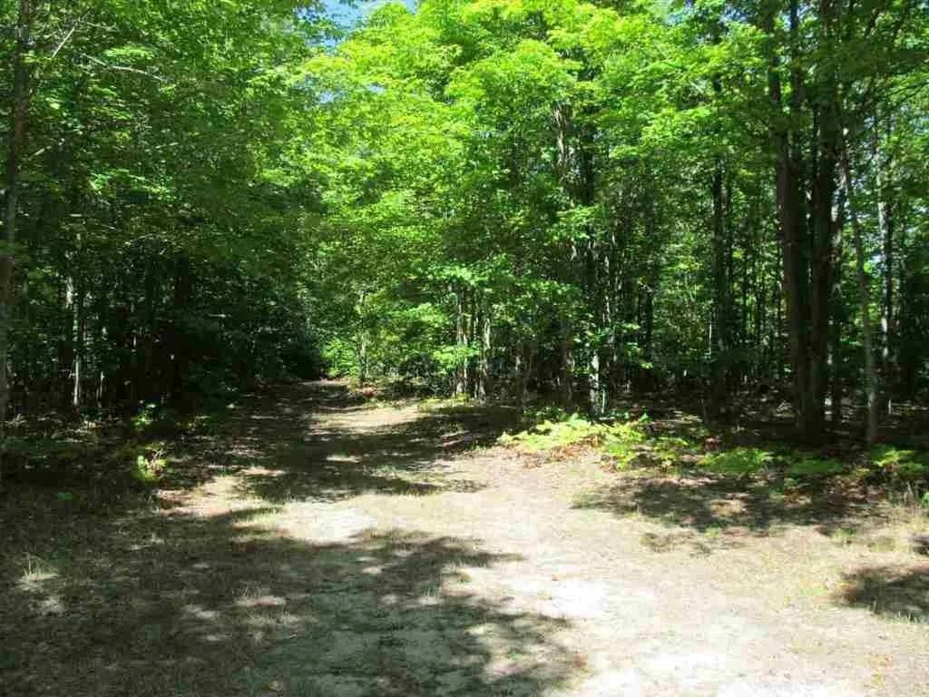 5560 N 3, Mesick, MI 49668 — Photo 9