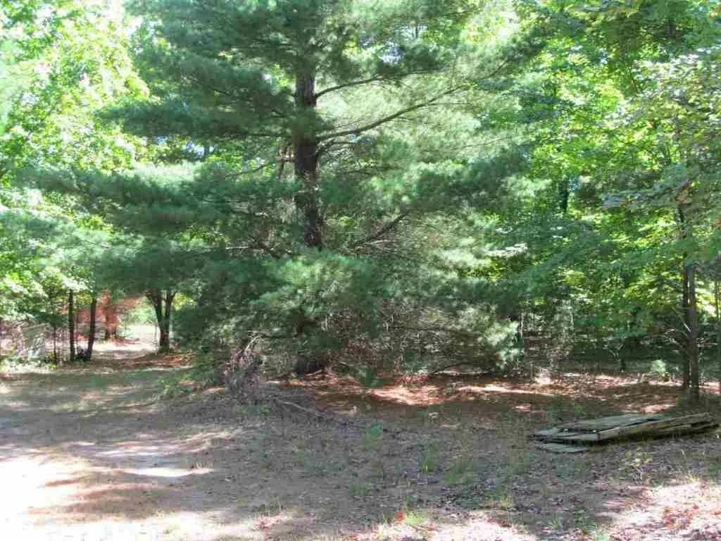 5560 N 3, Mesick, MI 49668 — Photo 10