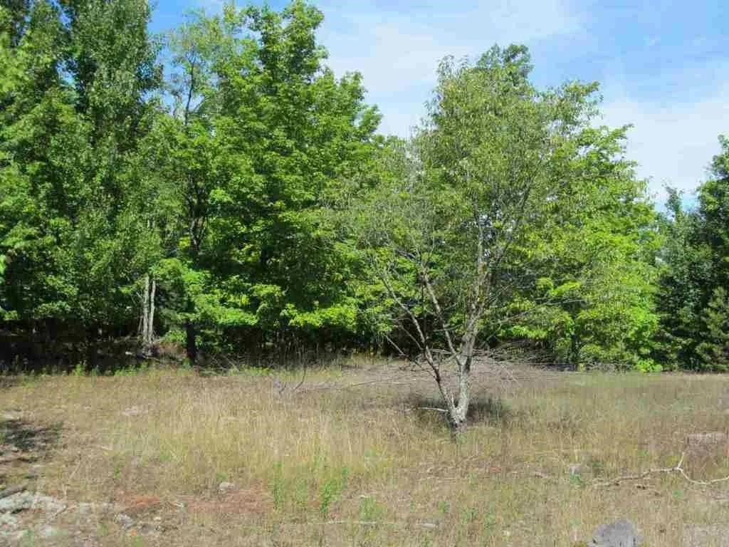 5560 N 3, Mesick, MI 49668 — Photo 11