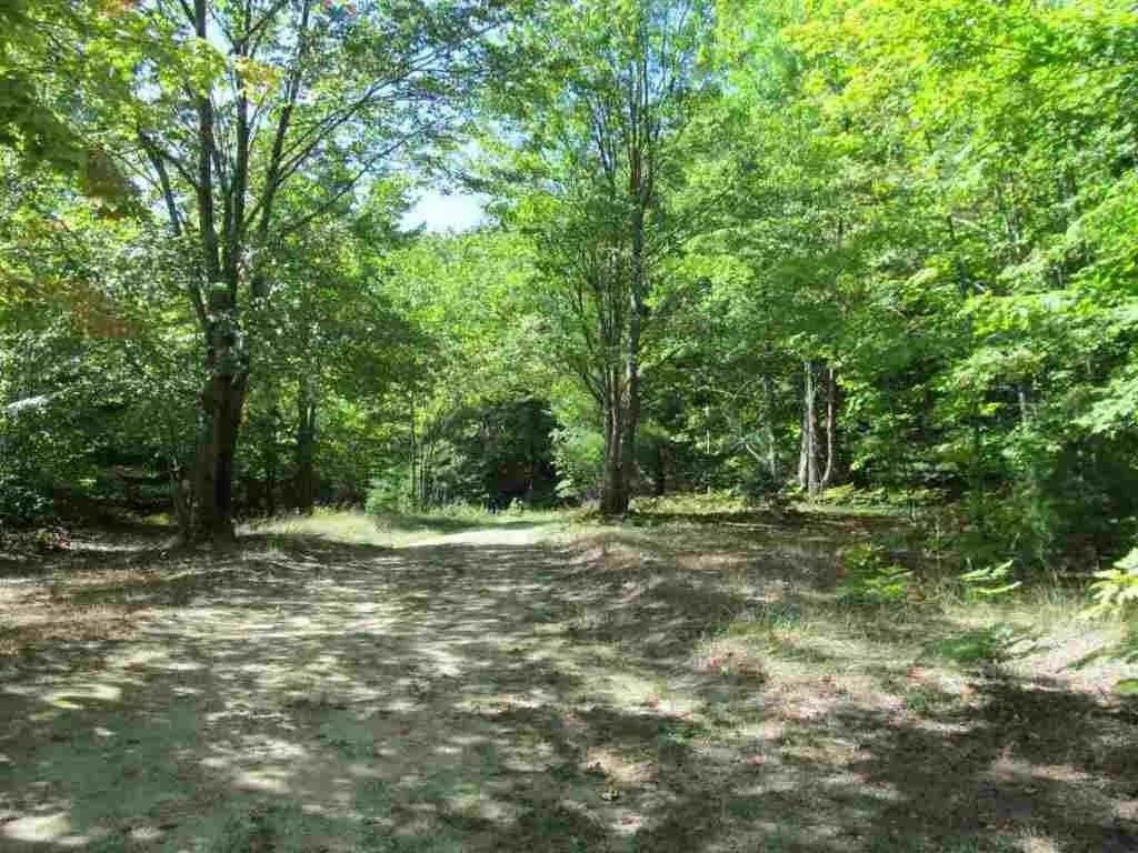 5560 N 3, Mesick, MI 49668 — Photo 12