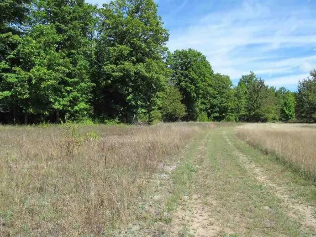 5560 N 3, Mesick, MI 49668 — Photo 13