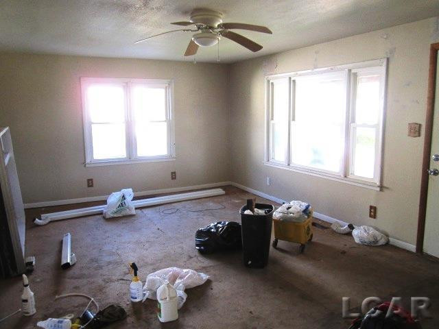 113 Water Street Street, Hudson, MI 49247 — Photo 6