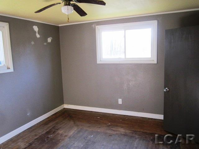 113 Water Street Street, Hudson, MI 49247 — Photo 9