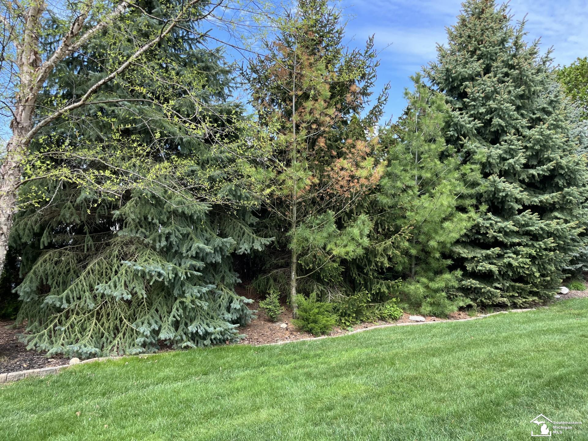 7999 Timber Wood, Temperance, MI 48182 — Photo 40