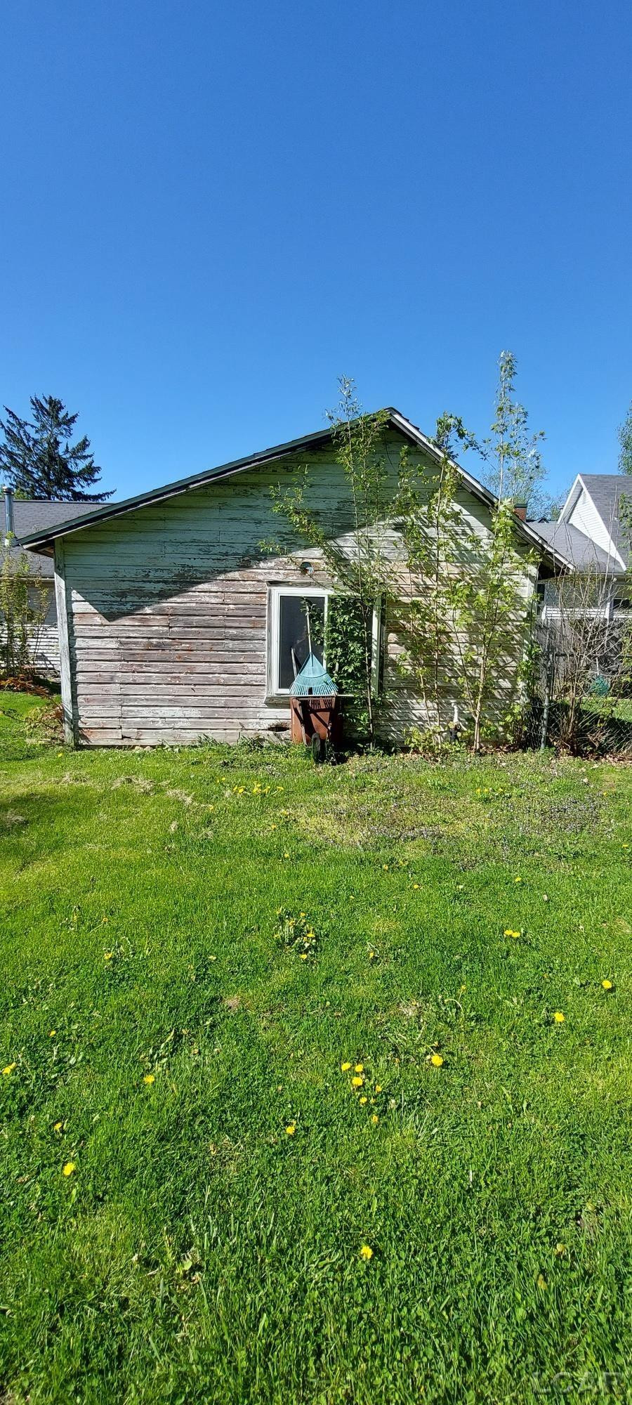 248 S MAIN, Onsted, MI 49265 — Photo 9