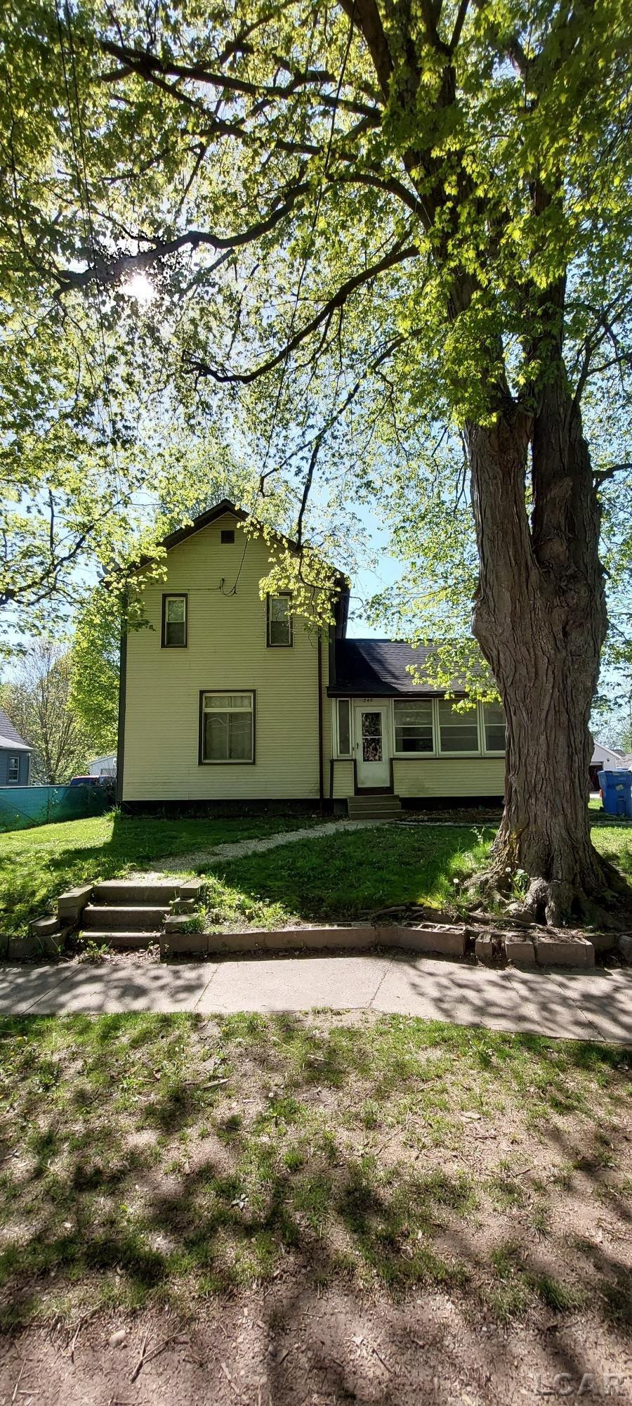 248 S MAIN, Onsted, MI 49265 — Photo 14