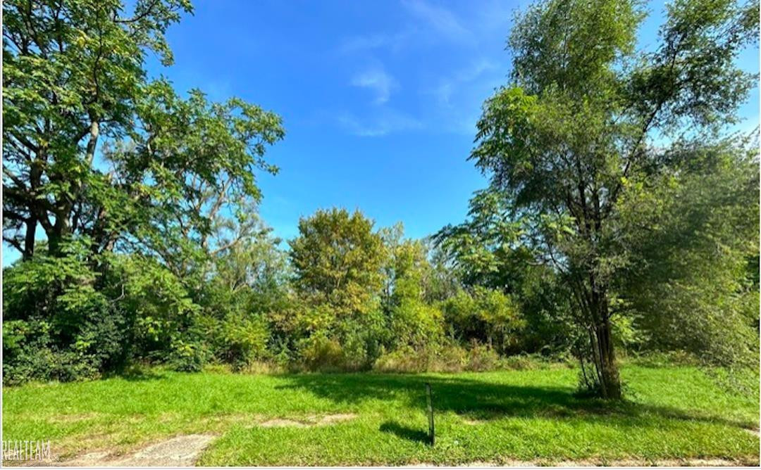 421 E Lorado Avenue, Flint, MI 48505 — front exterior