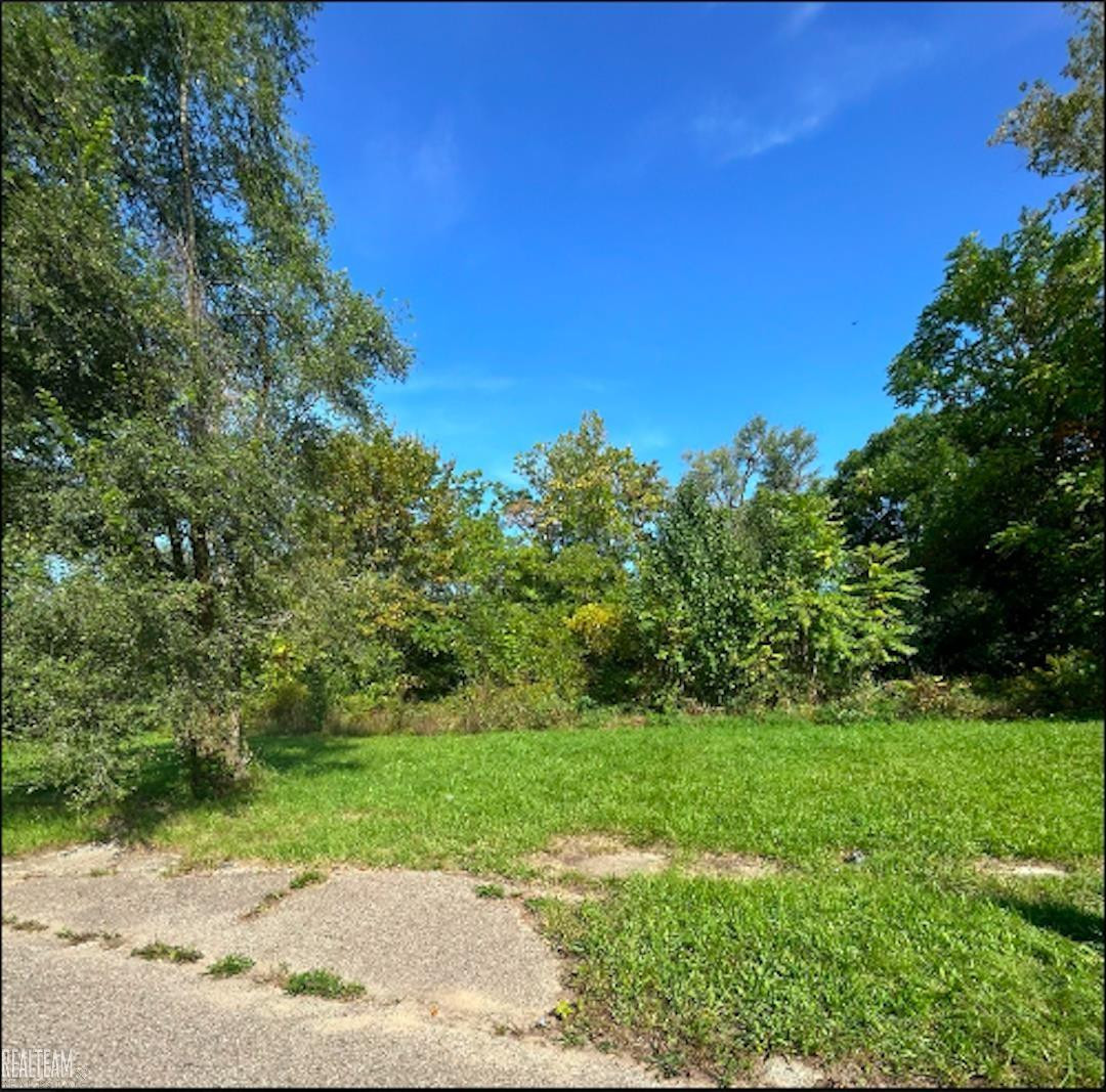425 E Lorado Avenue, Flint, MI 48505 — front exterior