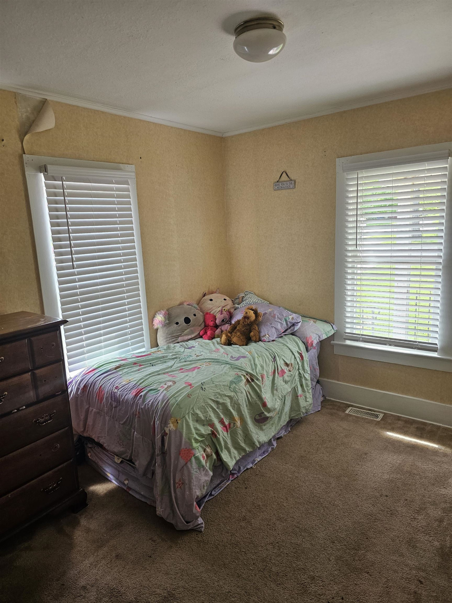 125 S Line Street, Chesaning, MI 48616 — Photo 7