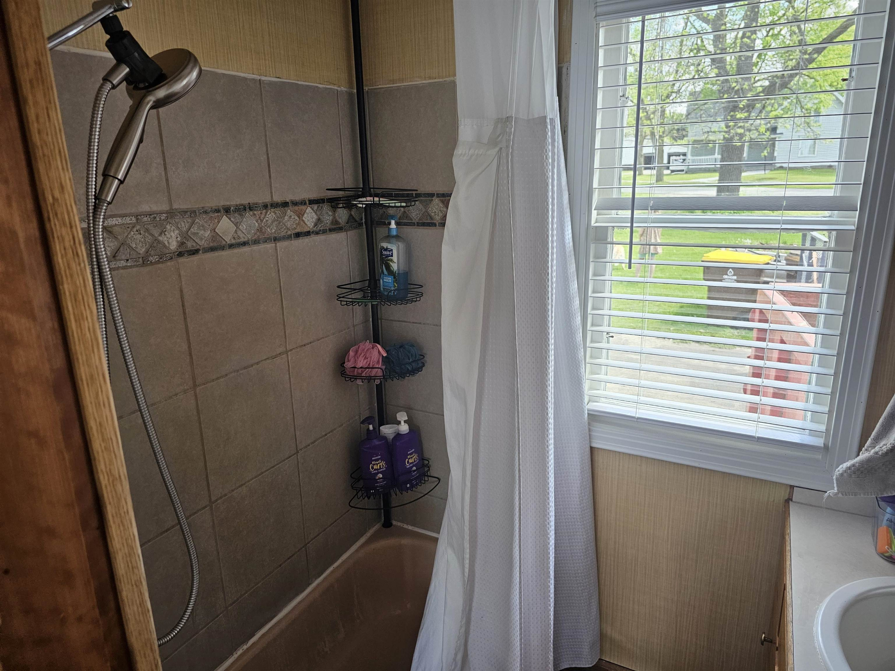 125 S Line Street, Chesaning, MI 48616 — Photo 12