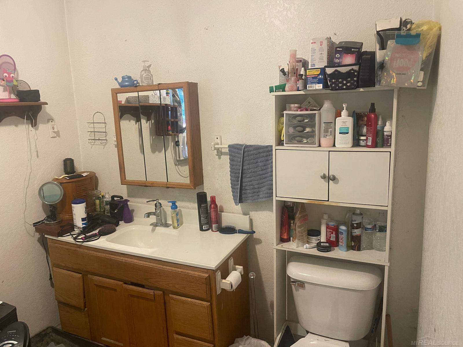 210 W Saint Marys Street, Decatur, MI 49045 — Photo 3