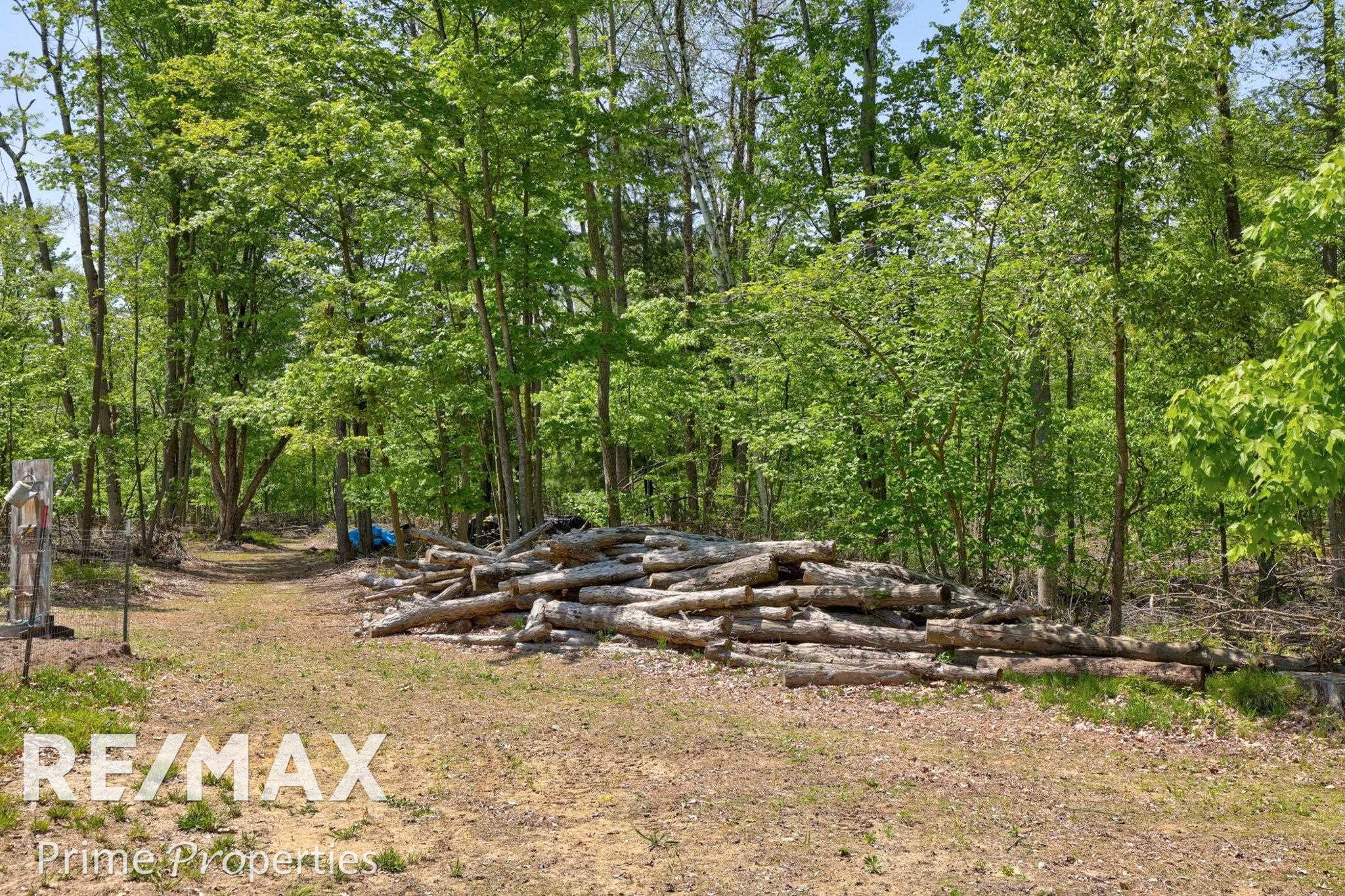 14371 W Burt, Chesaning, MI 48616 — Photo 48