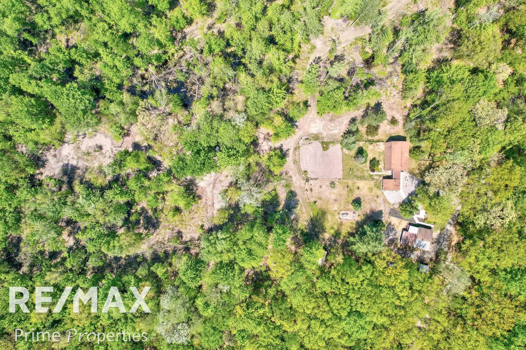 14371 W Burt, Chesaning, MI 48616 — Photo 62