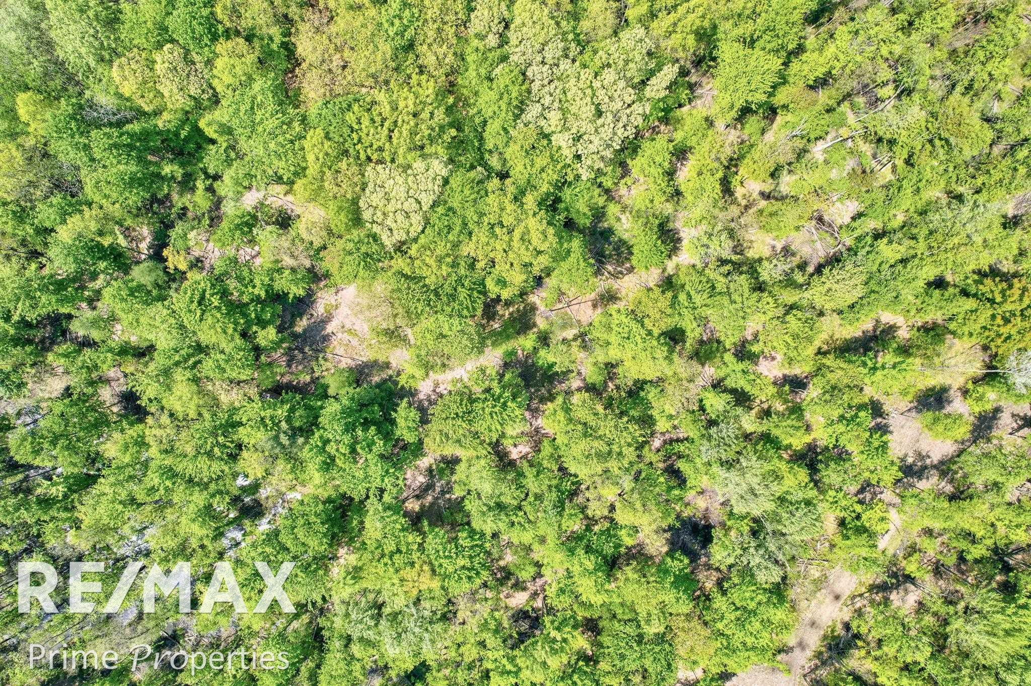 14371 W Burt, Chesaning, MI 48616 — Photo 63