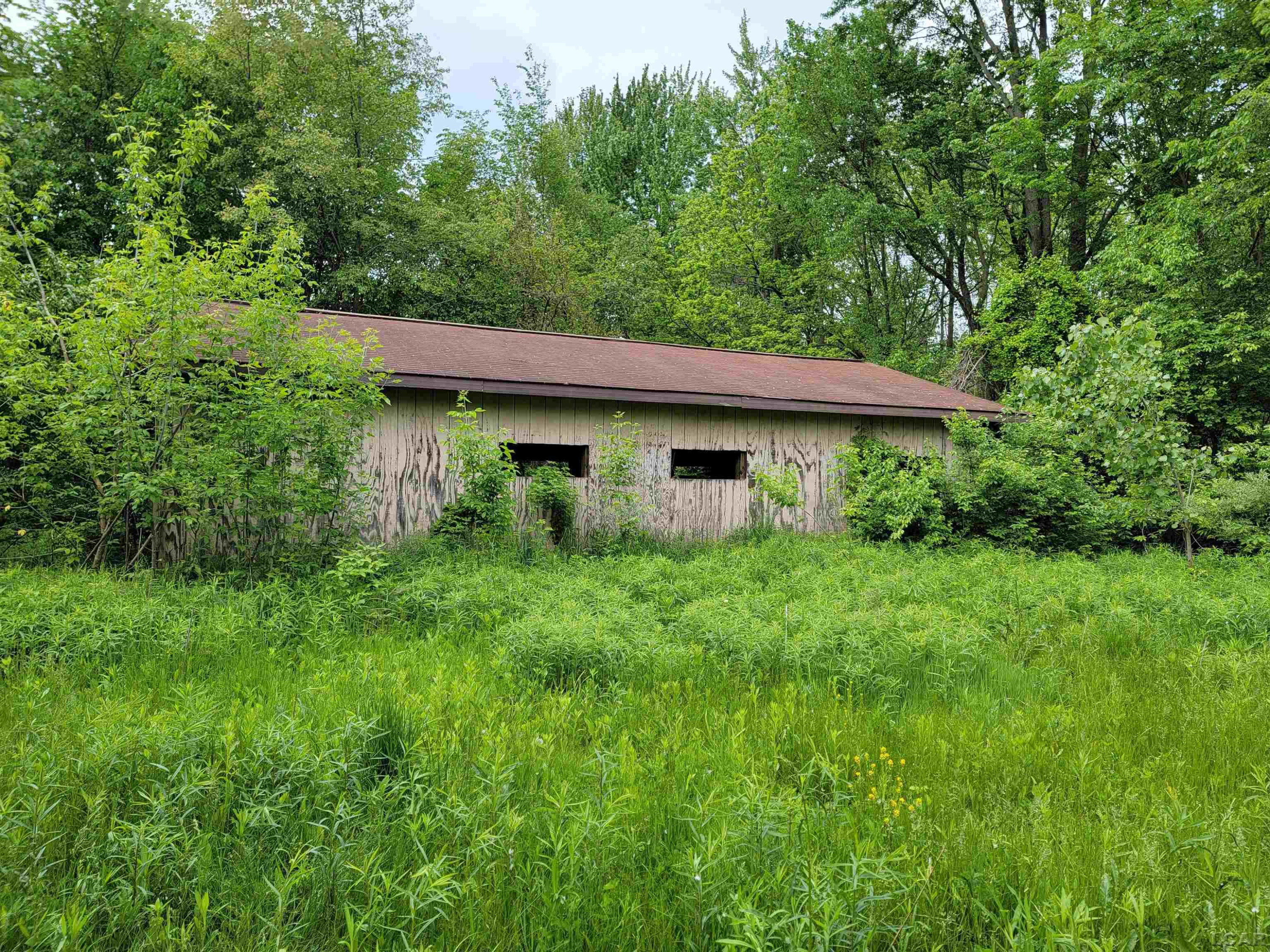 8583 E Monroe Road, Britton, MI 49229 — Photo 4
