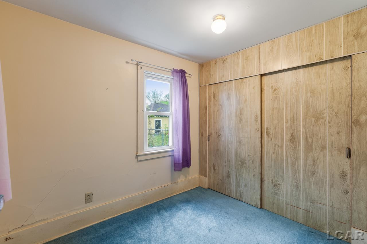 808 Chestnut Street, Adrian, MI 49221 — Photo 12
