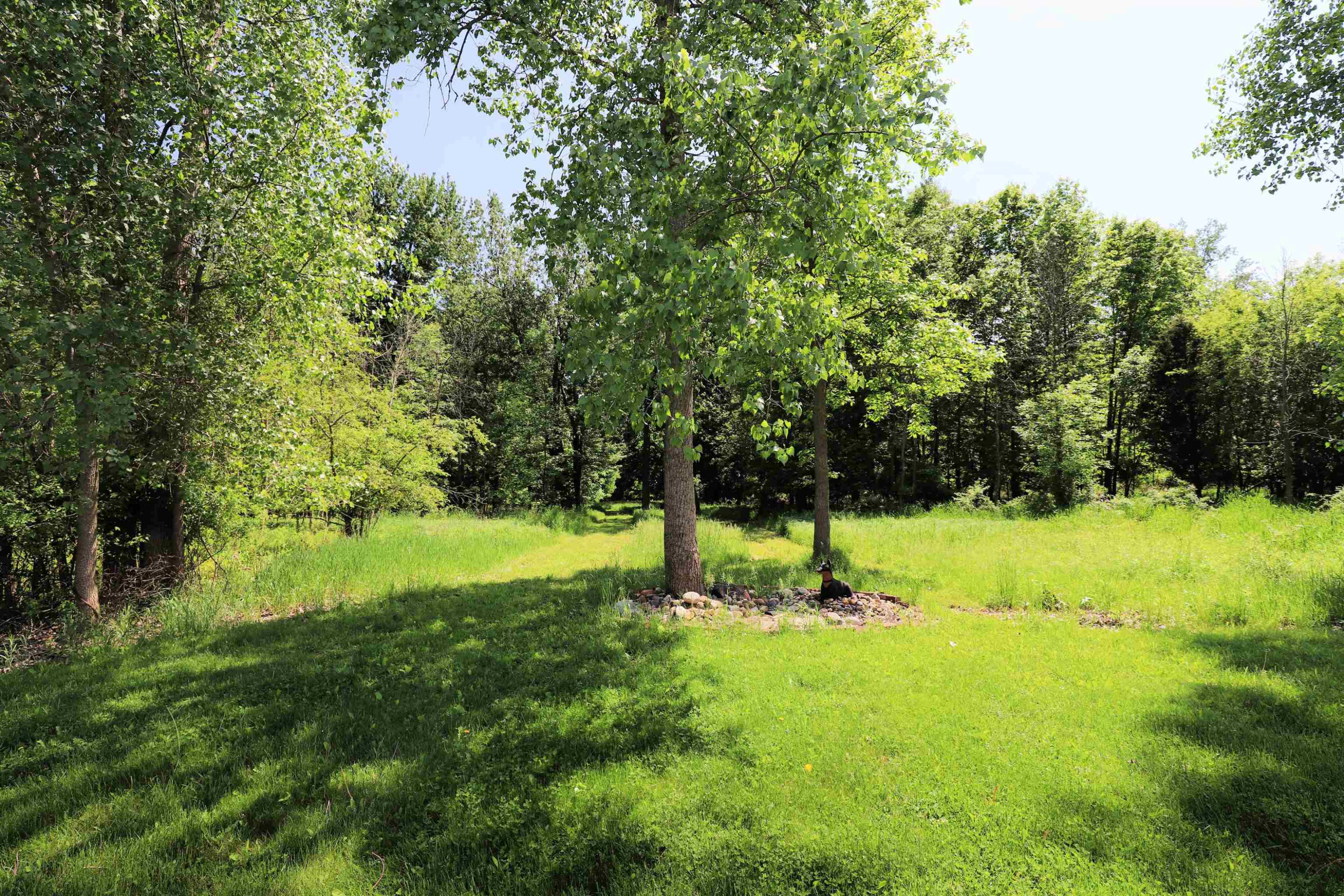 612 Walnut, Corunna, MI 48817 — Photo 20