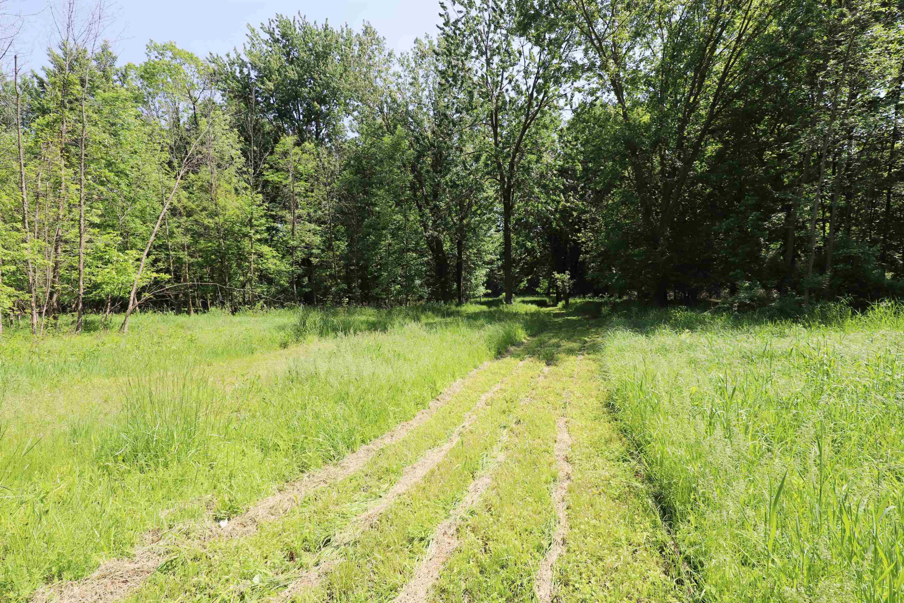 612 Walnut, Corunna, MI 48817 — Photo 21