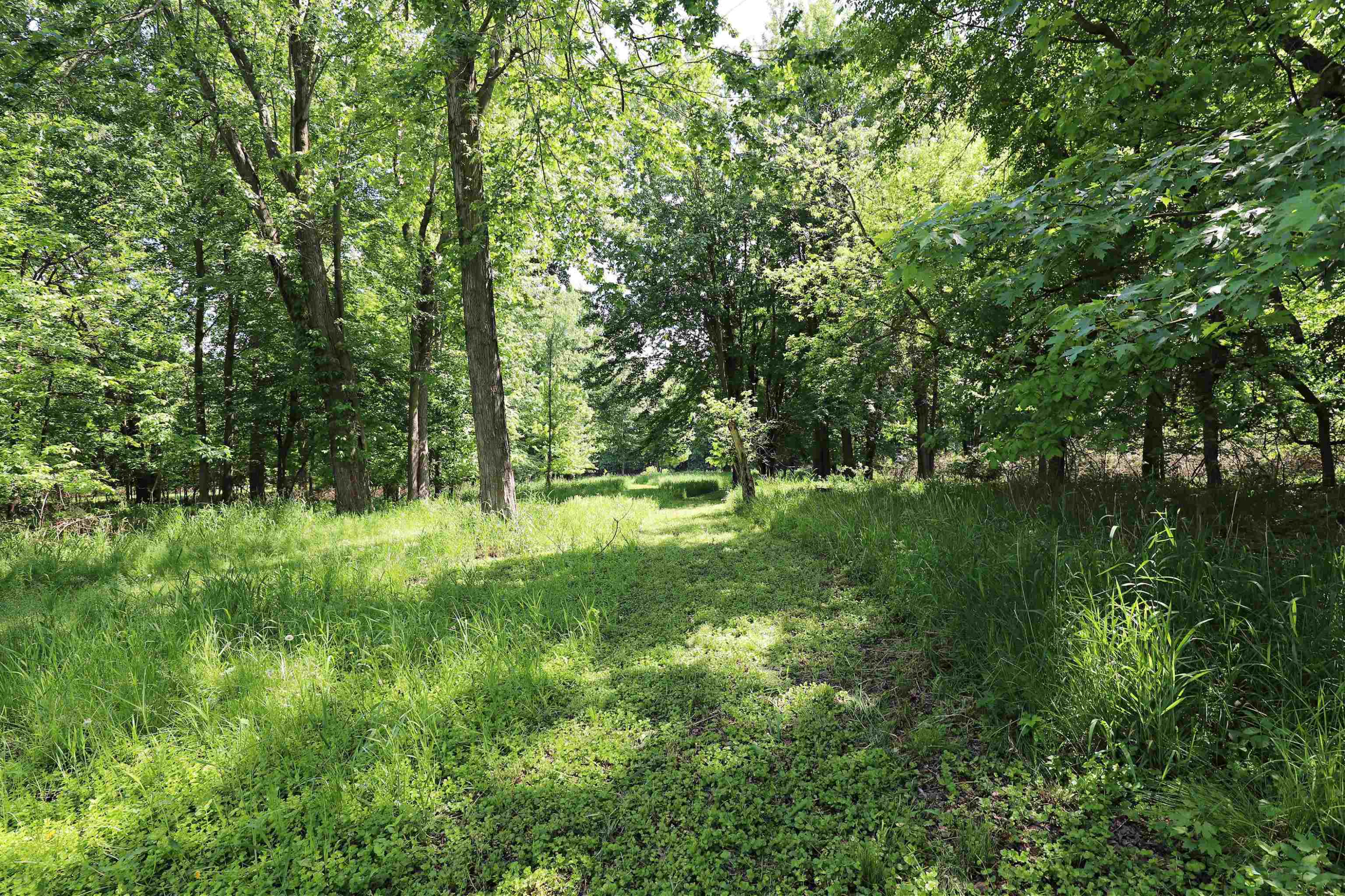 612 Walnut, Corunna, MI 48817 — Photo 22