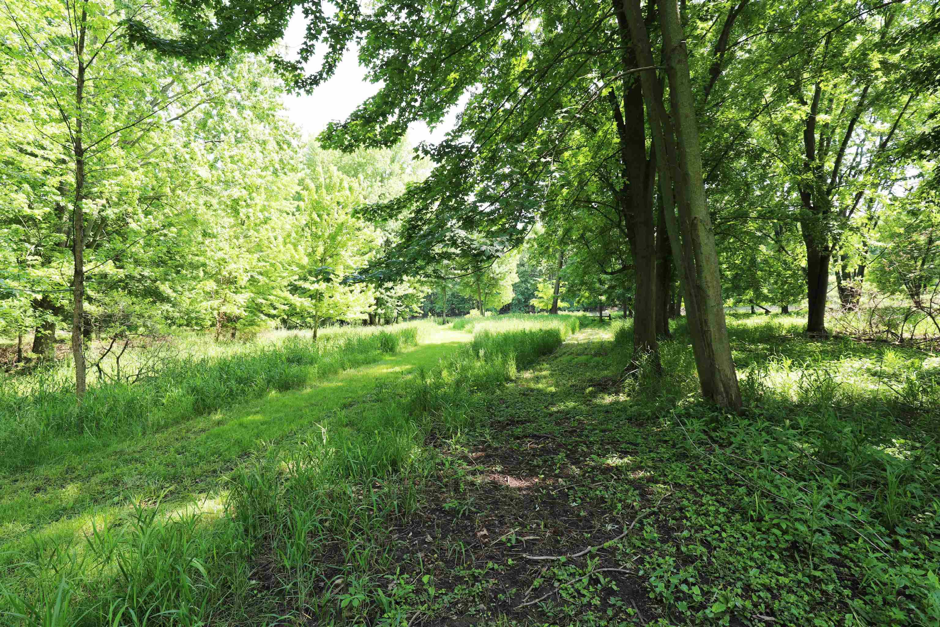 612 Walnut, Corunna, MI 48817 — Photo 23