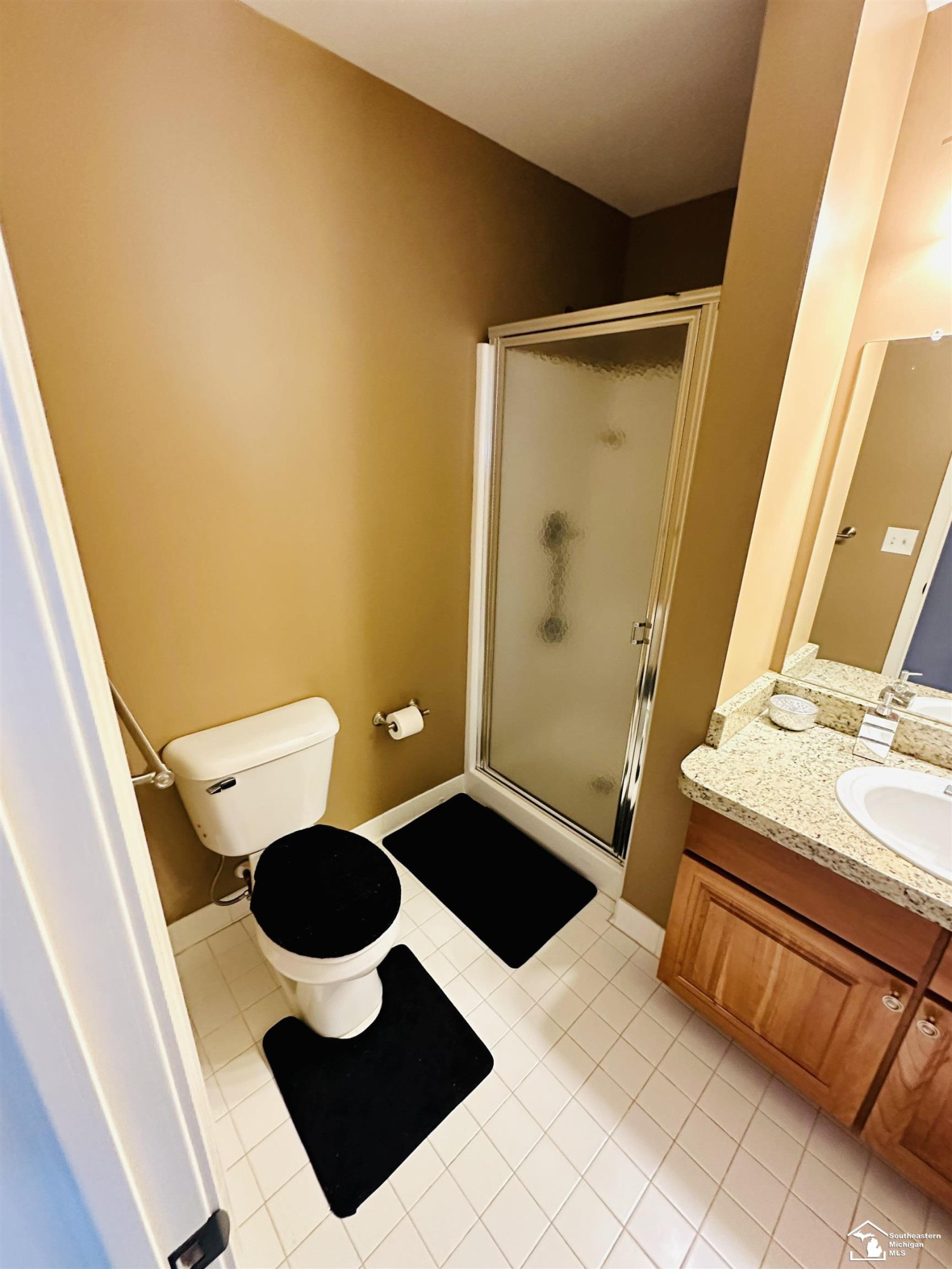 707 E River Park Village, Northville, MI 48167 — Photo 24