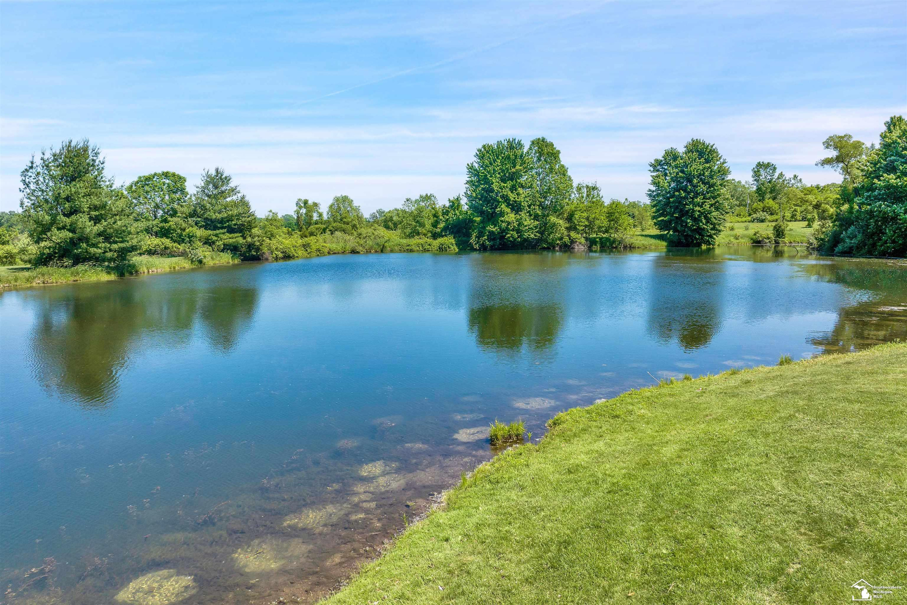 6379 Mi State Road 52 Road, Manchester, MI 48158 — Photo 39