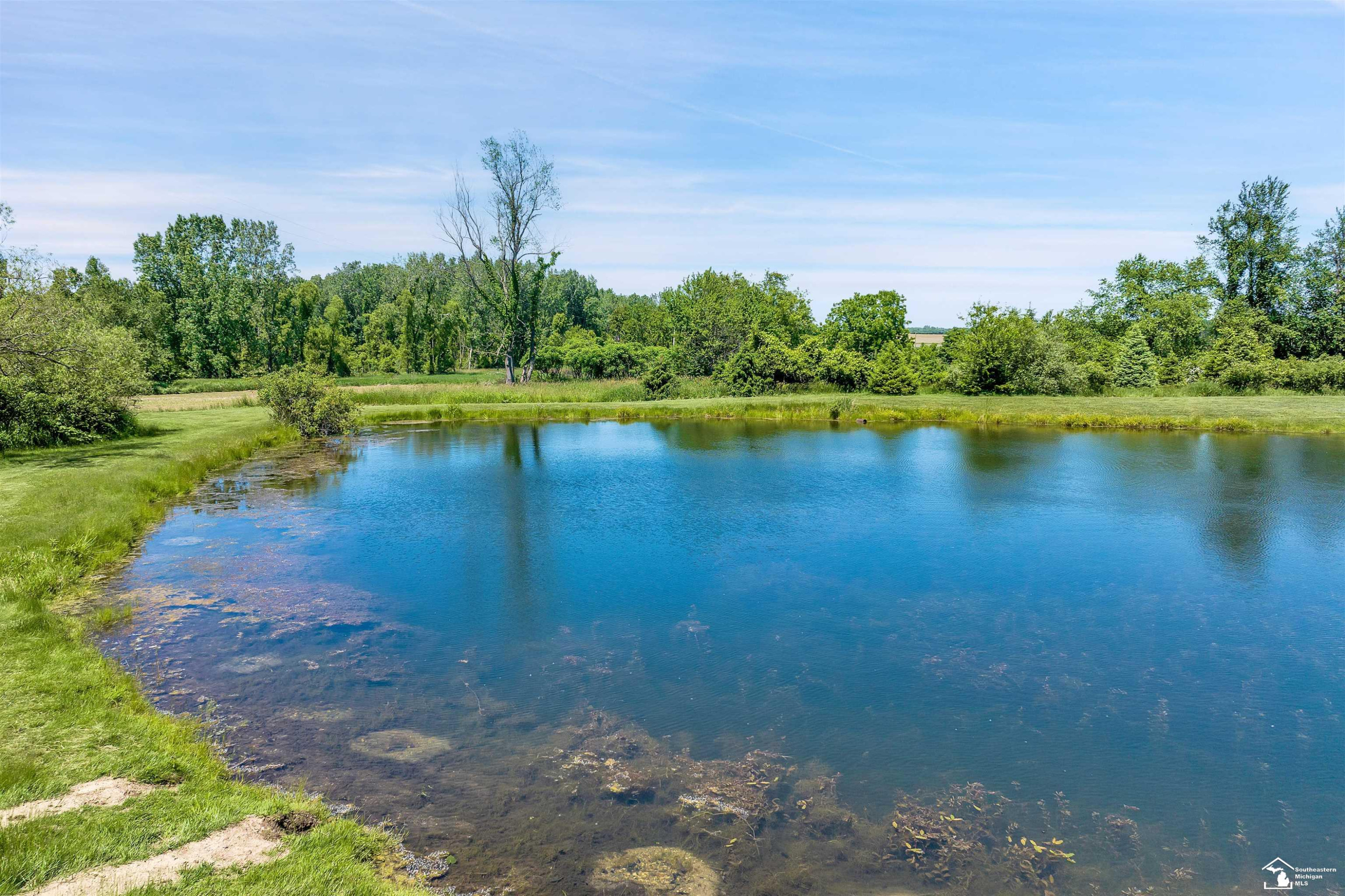 6379 Mi State Road 52 Road, Manchester, MI 48158 — Photo 40
