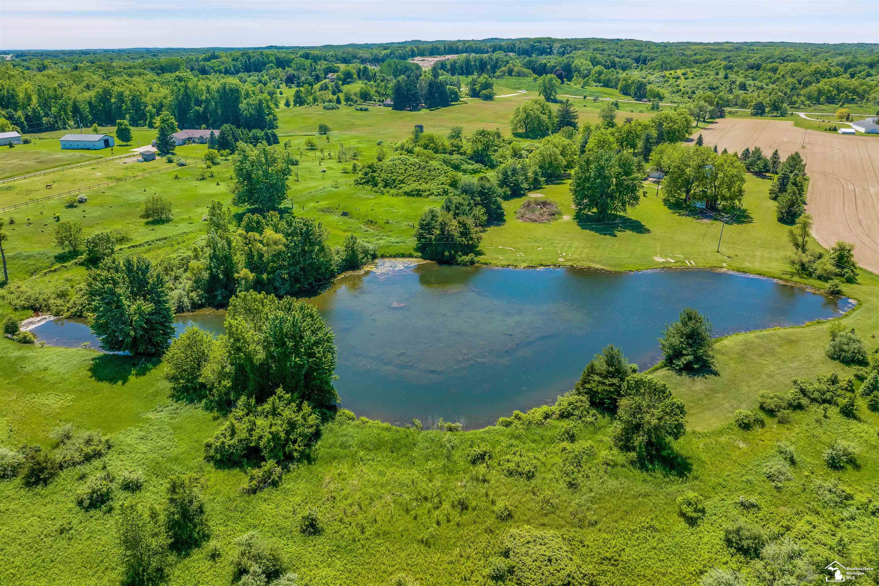 6379 Mi State Road 52 Road, Manchester, MI 48158 — Photo 42