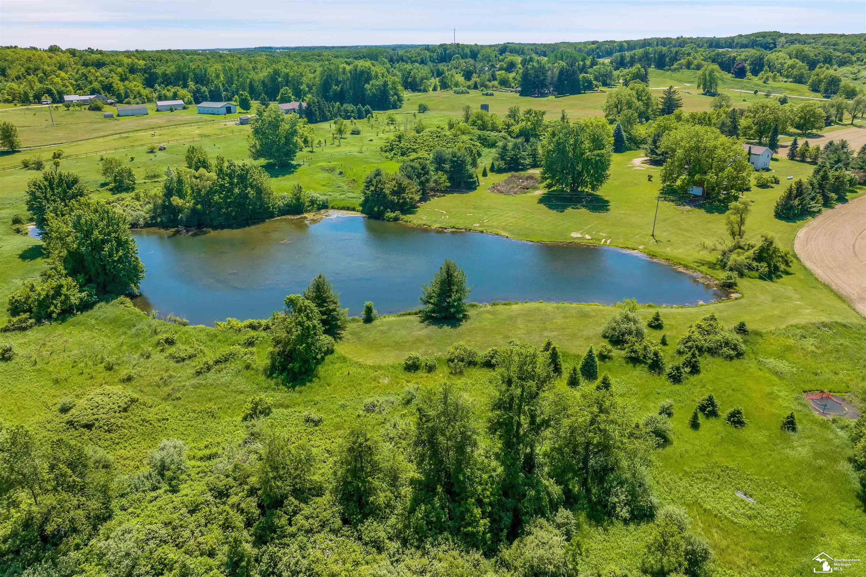 6379 Mi State Road 52 Road, Manchester, MI 48158 — Photo 43