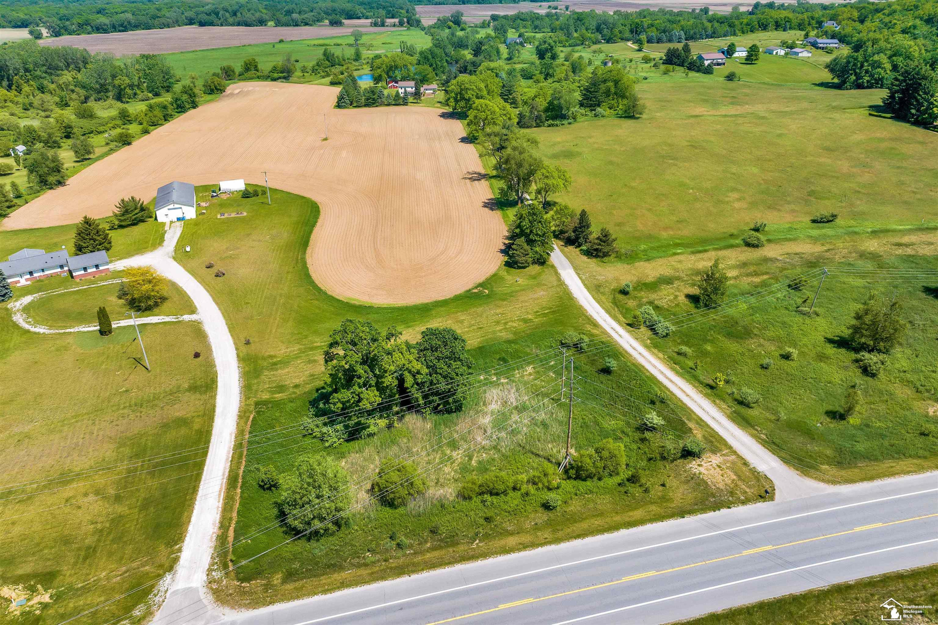 6379 Mi State Road 52 Road, Manchester, MI 48158 — Photo 49