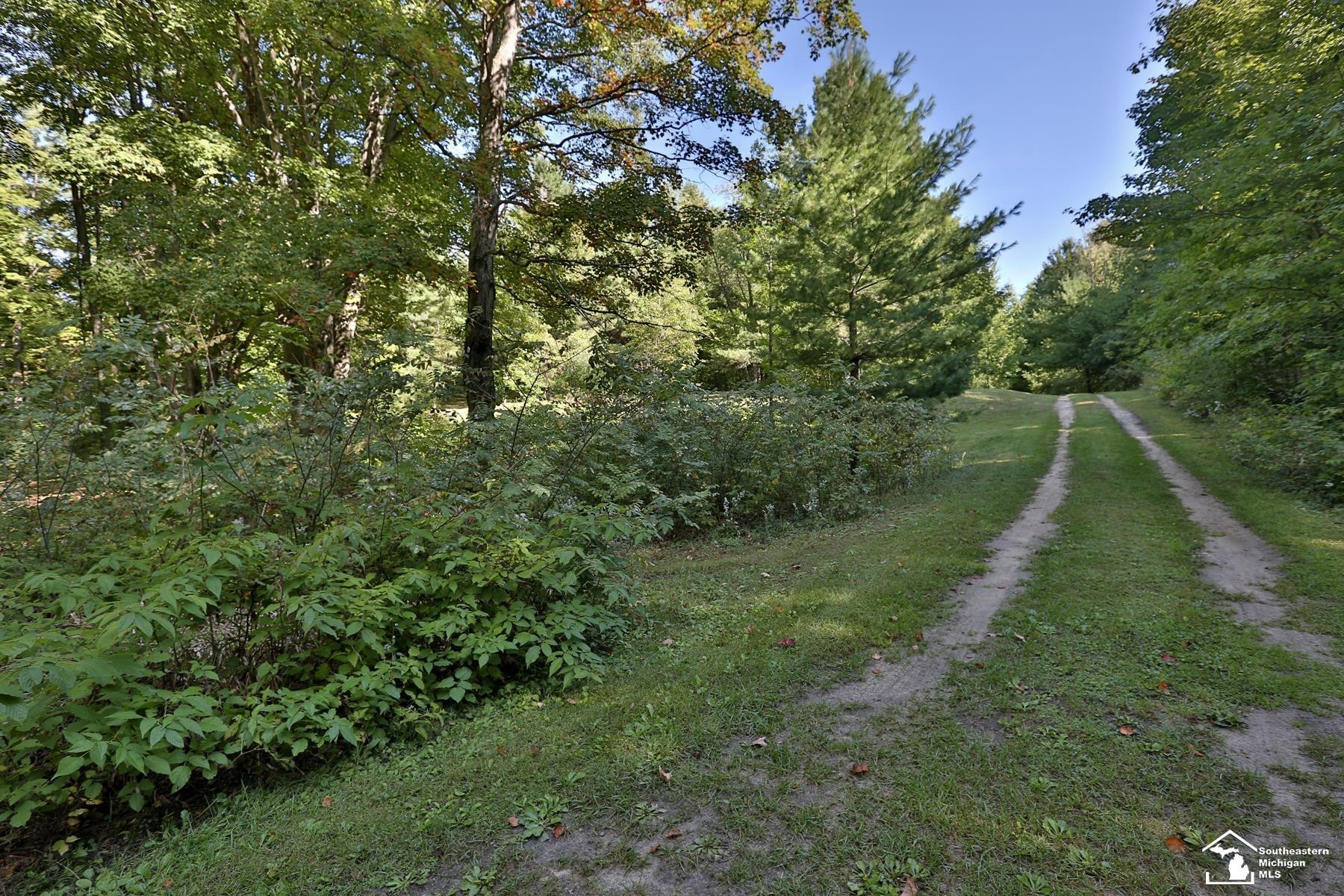 6351 M 32, Atlanta, MI 49709 — Photo 15