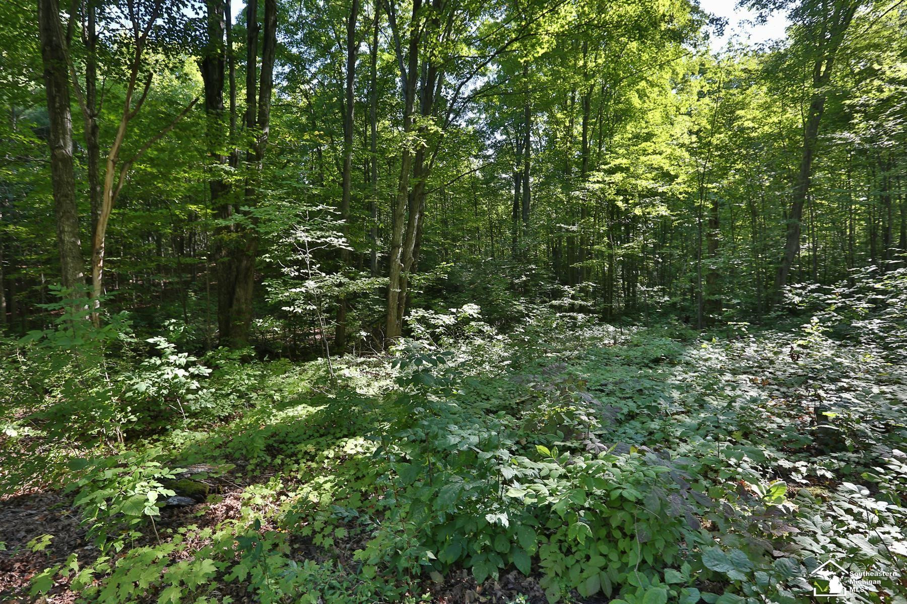 6351 M 32, Atlanta, MI 49709 — Photo 16