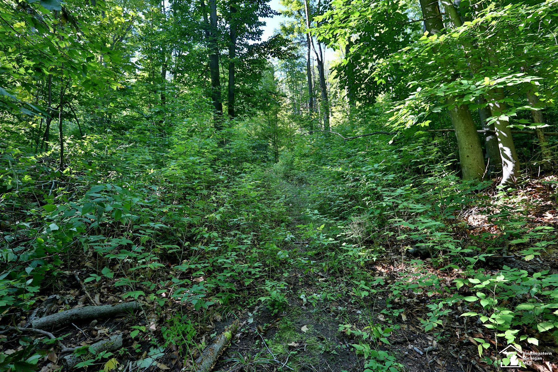 6351 M 32, Atlanta, MI 49709 — Photo 17