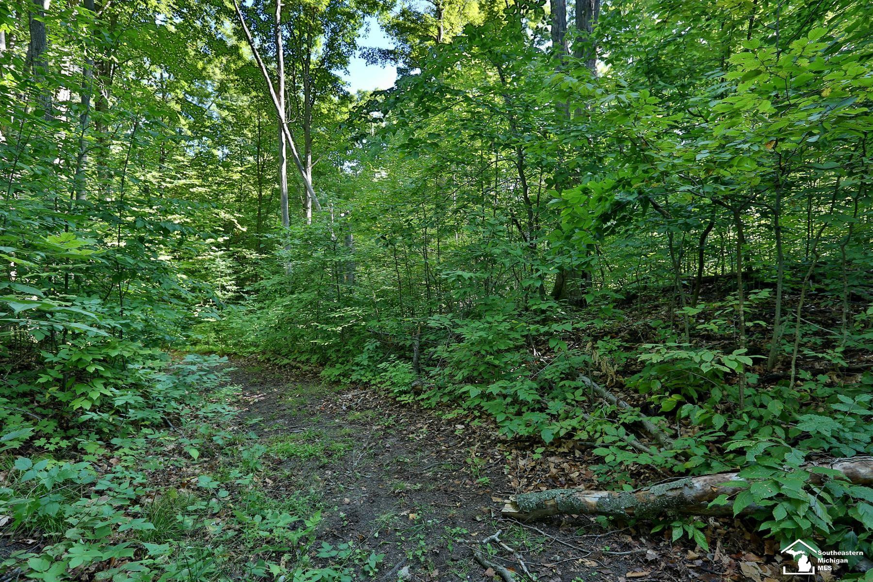 6351 M 32, Atlanta, MI 49709 — Photo 18