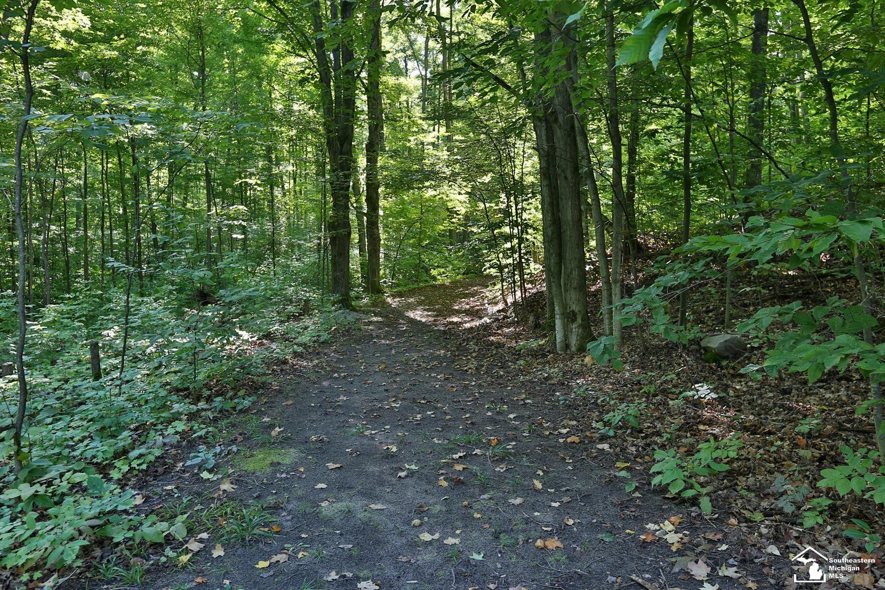 6351 M 32, Atlanta, MI 49709 — Photo 19