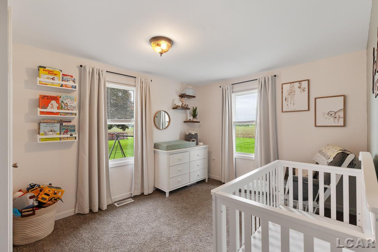 4961 S Wellsville Highway, Blissfield, MI 49228 — Photo 33