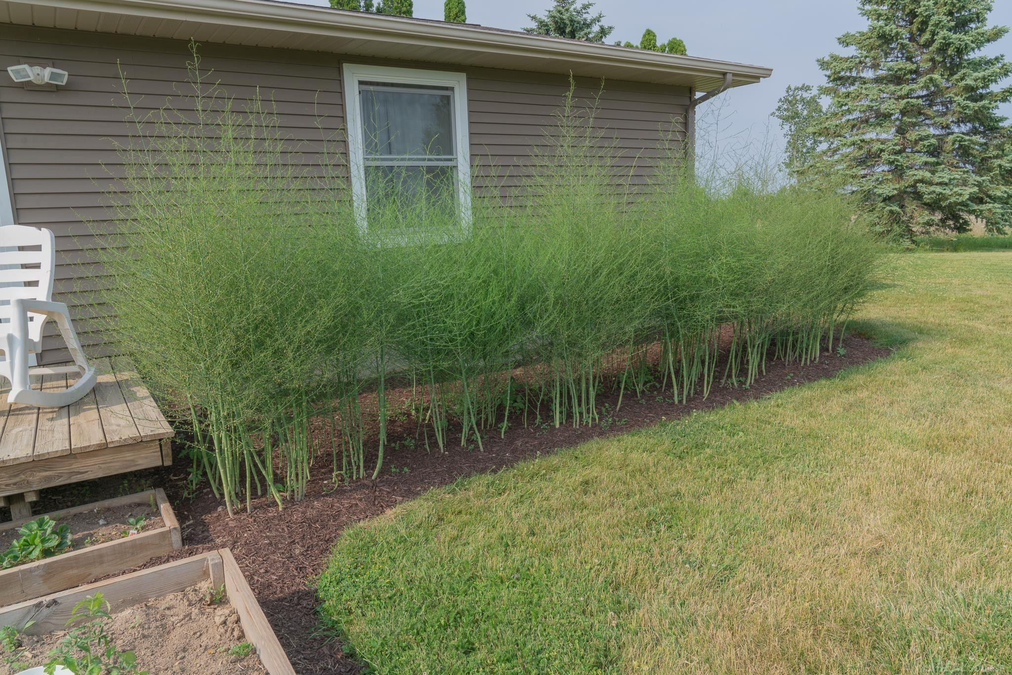 5708 Walker Rd Road, MI — Photo 32