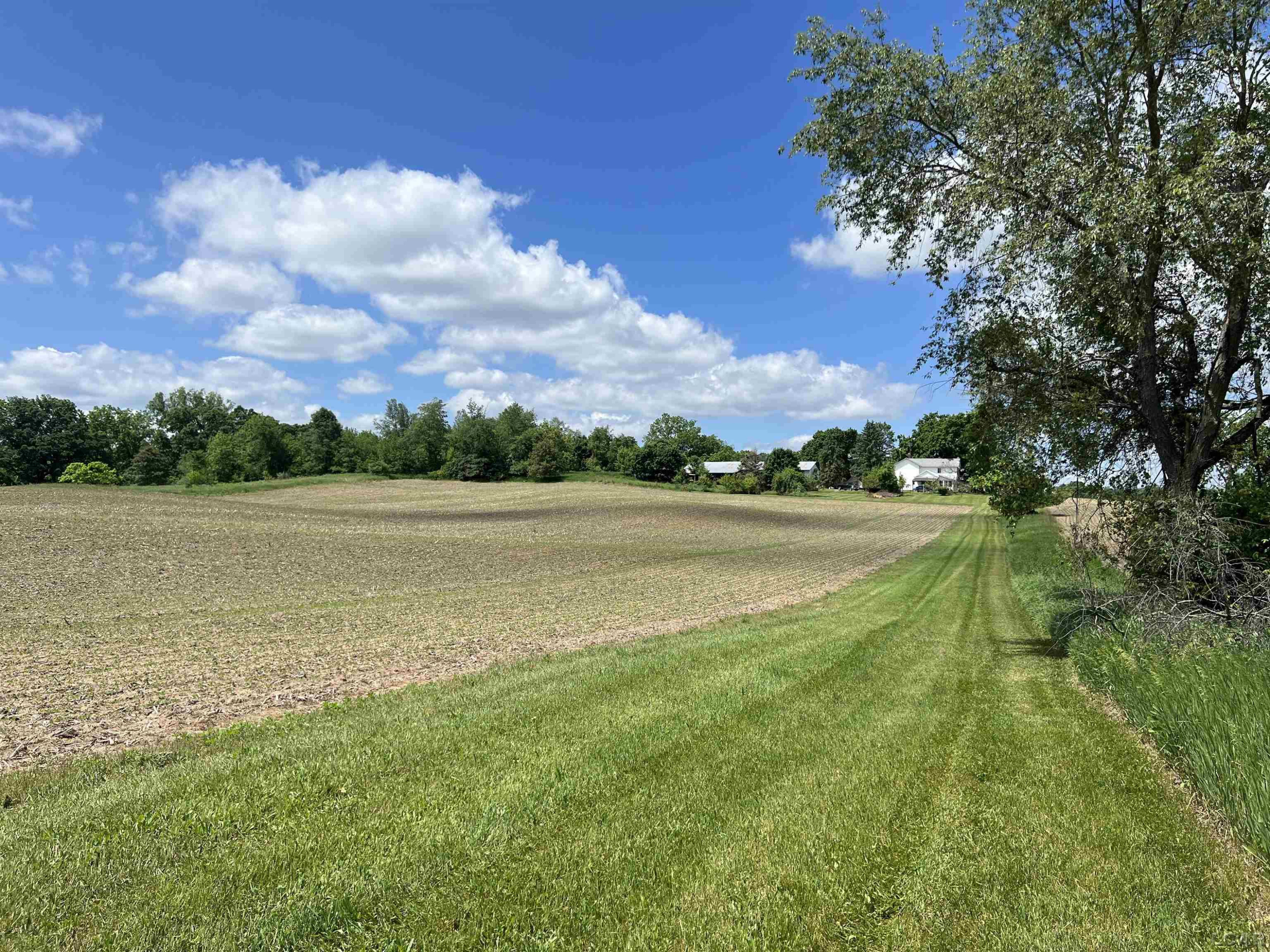 14175 Schleweis, Manchester, MI 48158 — Photo 10