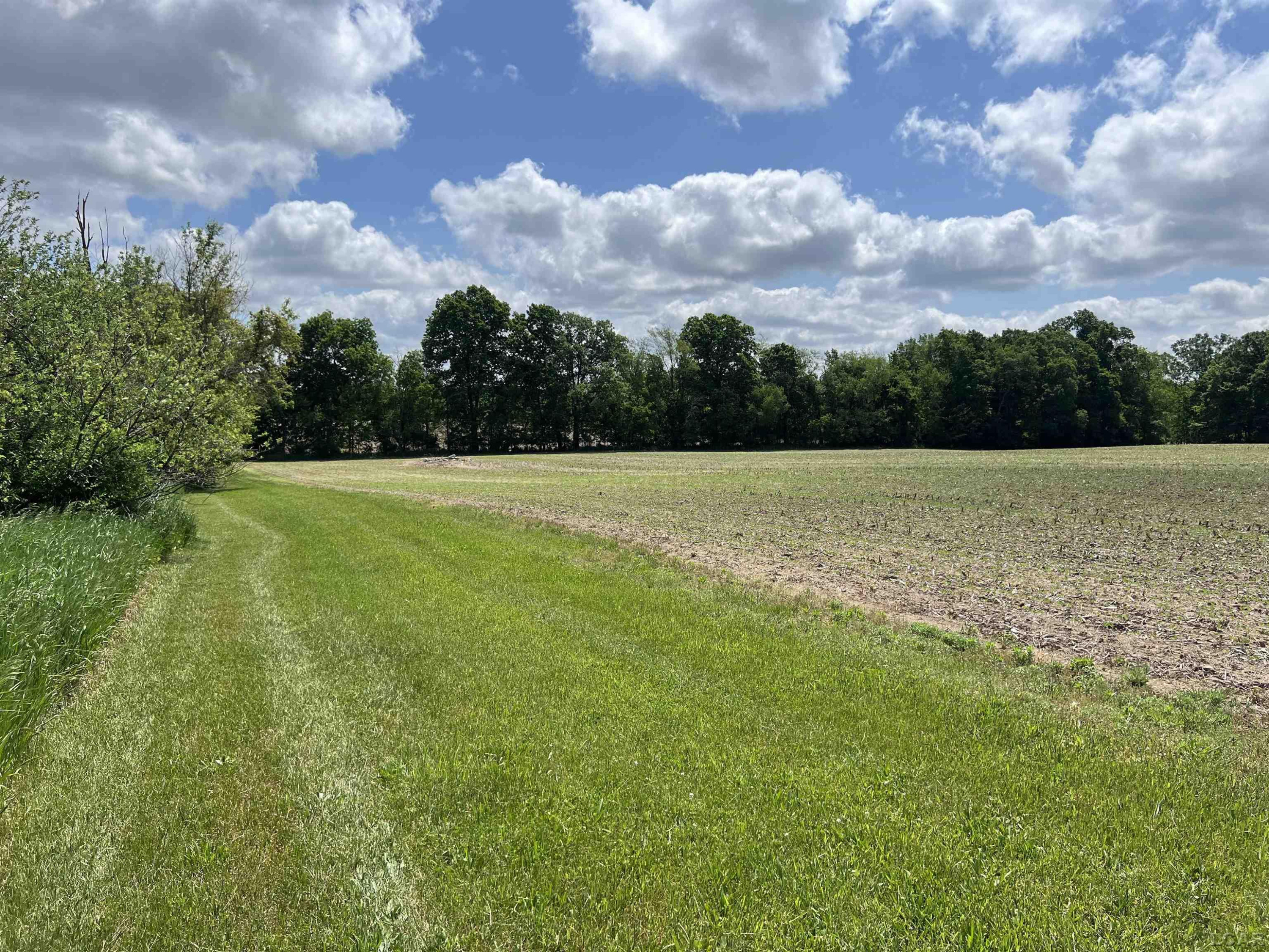 14175 Schleweis, Manchester, MI 48158 — Photo 11