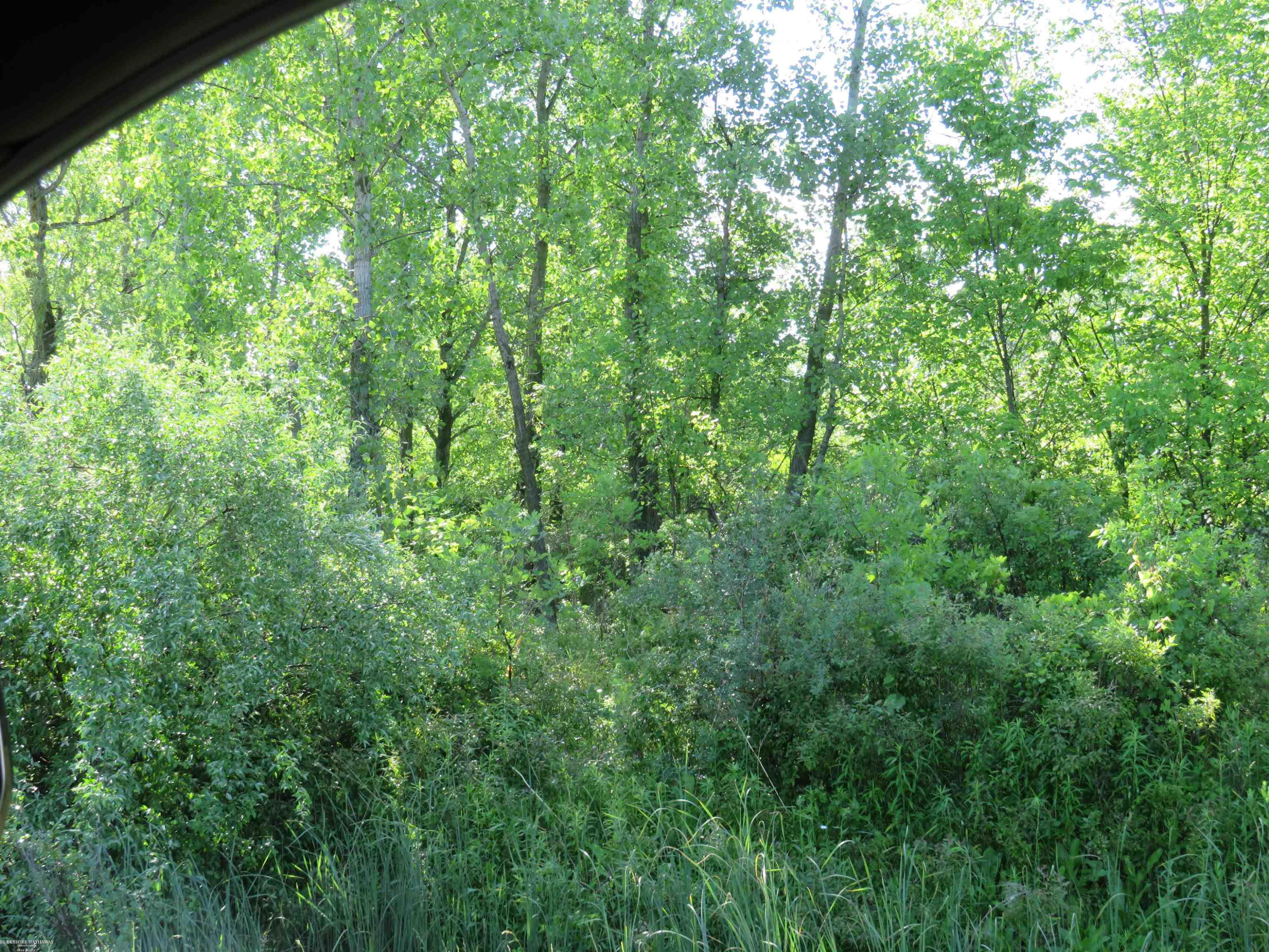 62800 Gratiot Road, MI 48048 — Photo 2