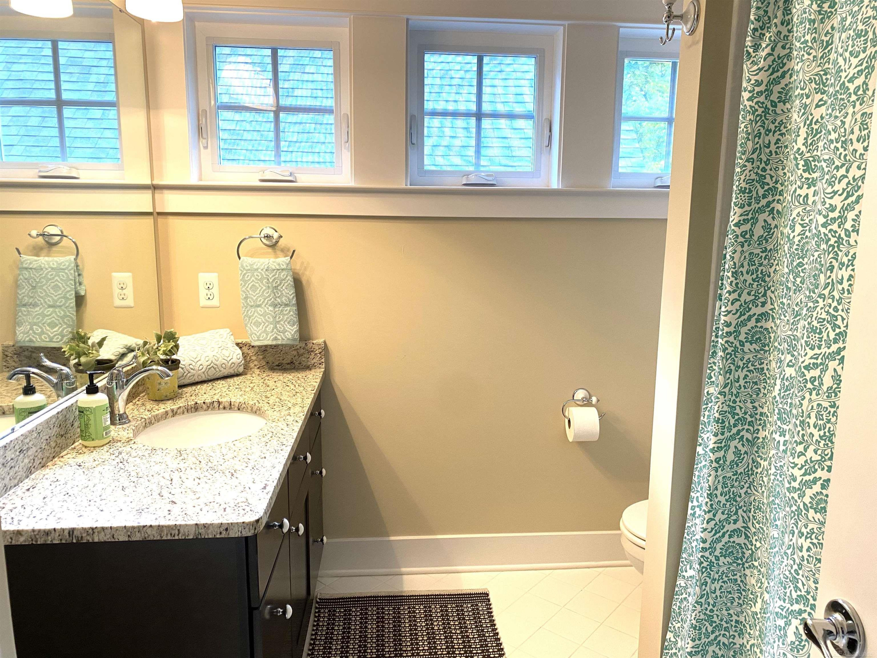 330 Hill Street, Northville, MI 48167 — Photo 29