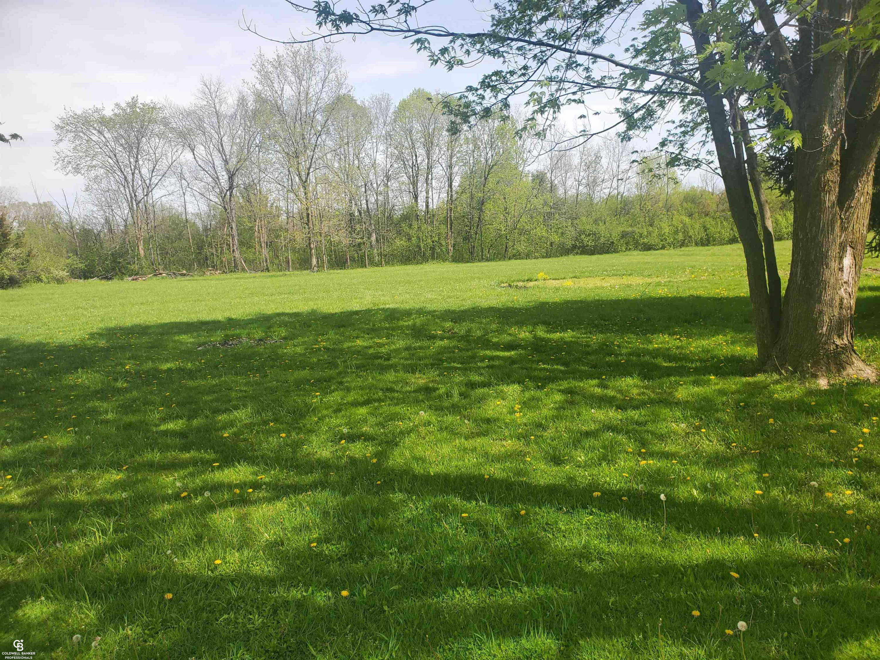 8222 Jorden Road, Yale, MI 48097 — Photo 6