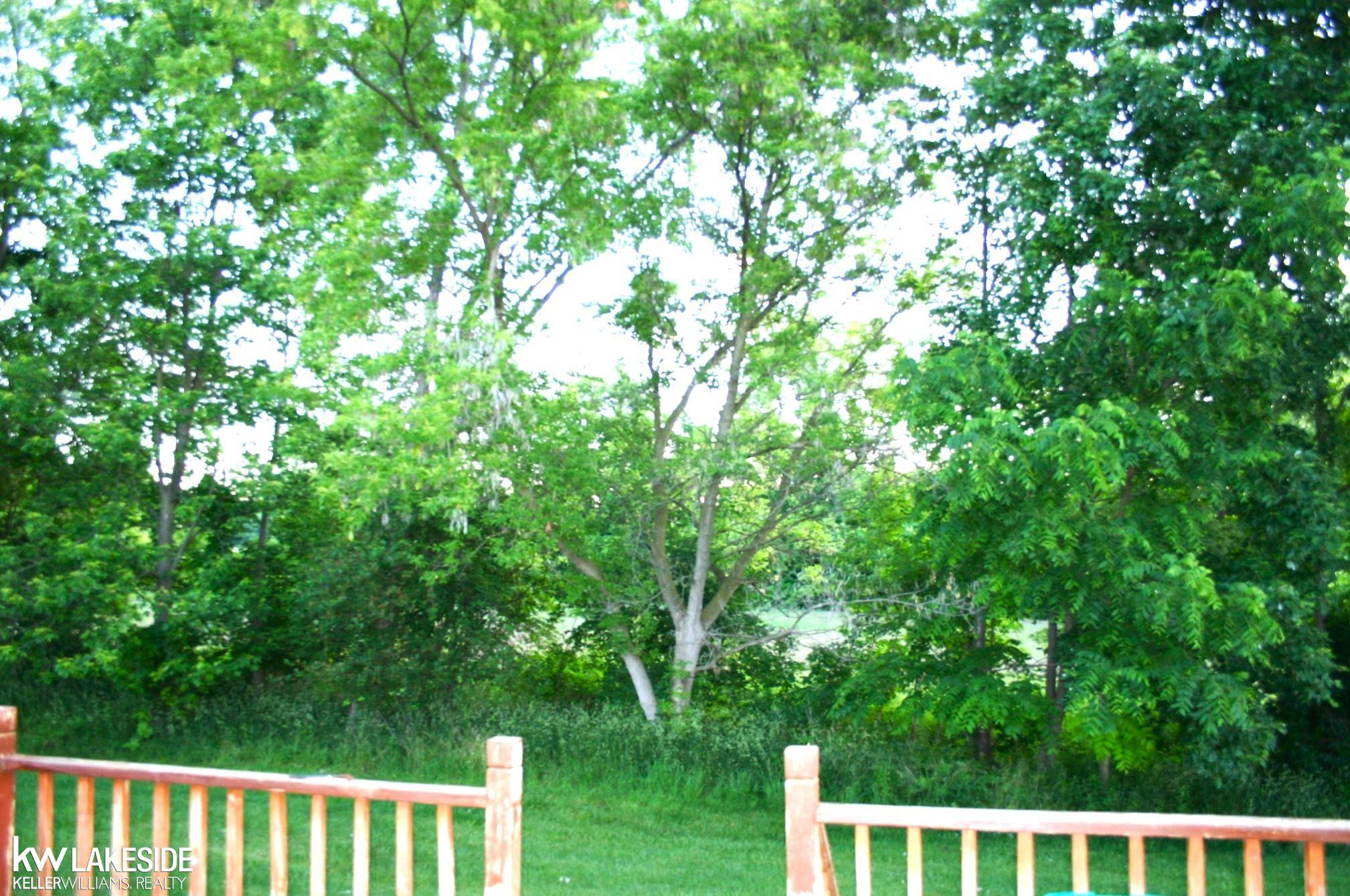 367 Fairgrove Street, MI 48065 — Photo 19
