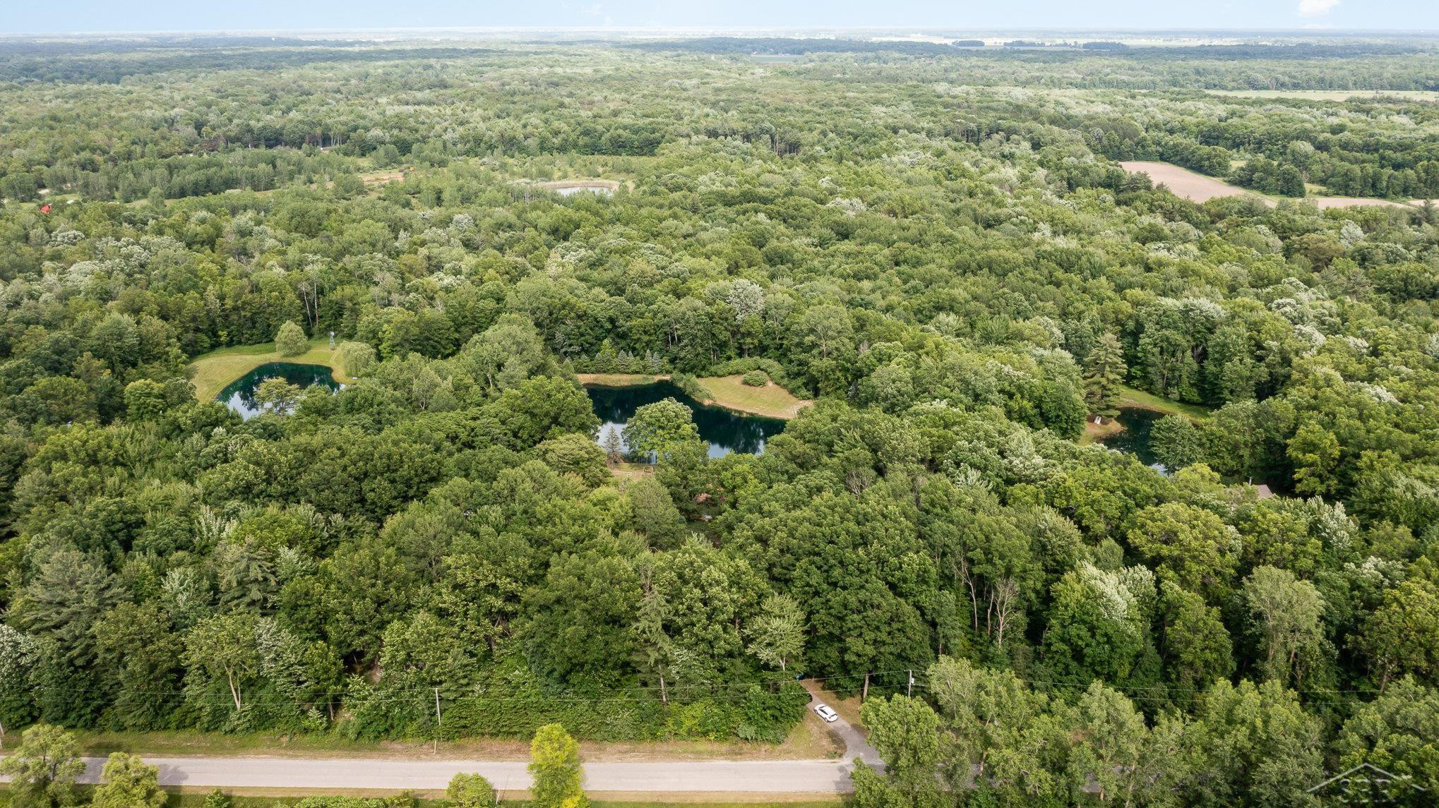10305 S Raucholz Road, Saint Charles, MI 48655 — Photo 8