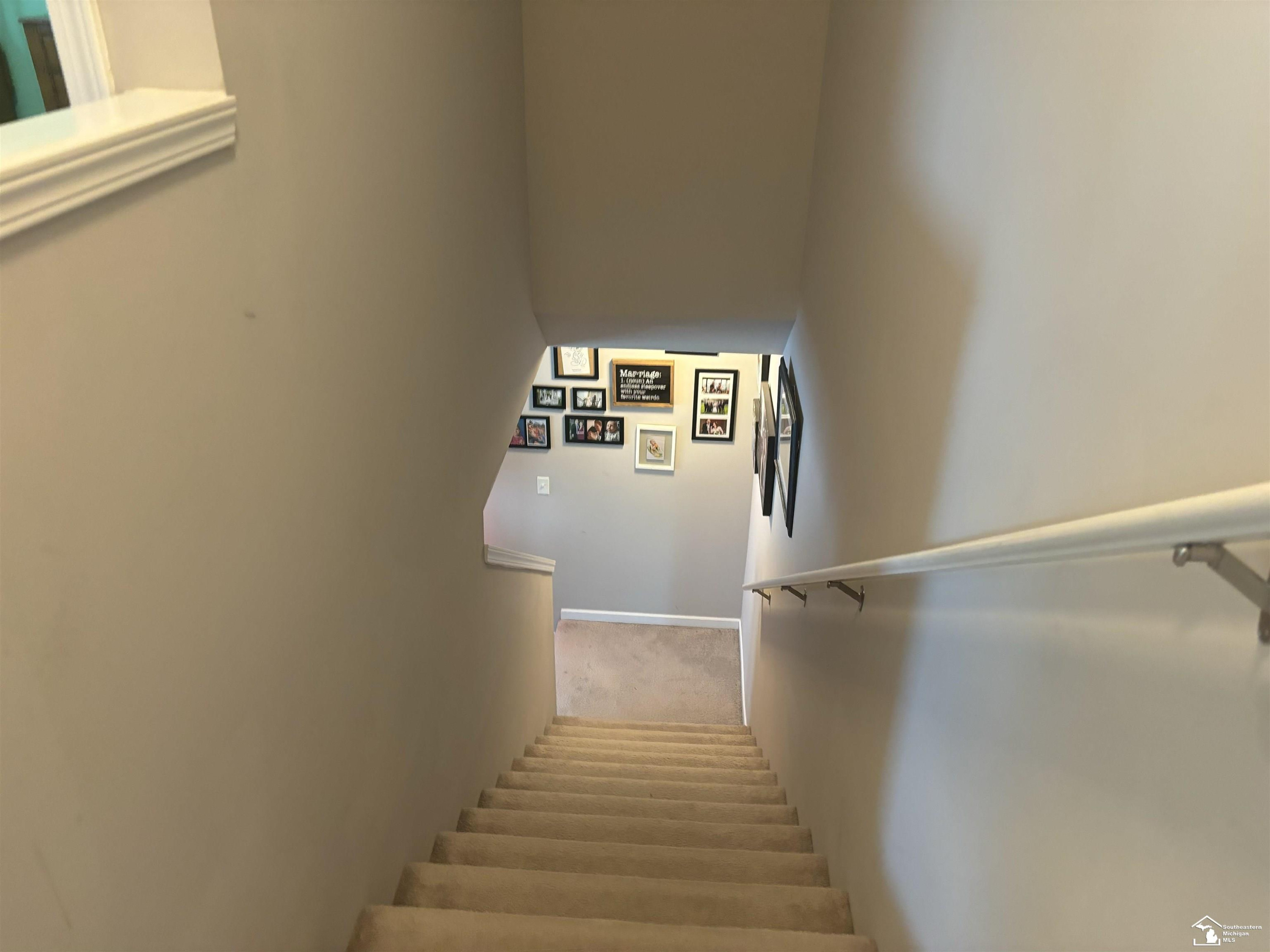 1258 Secretariat, Howell, MI 48843 — Photo 49