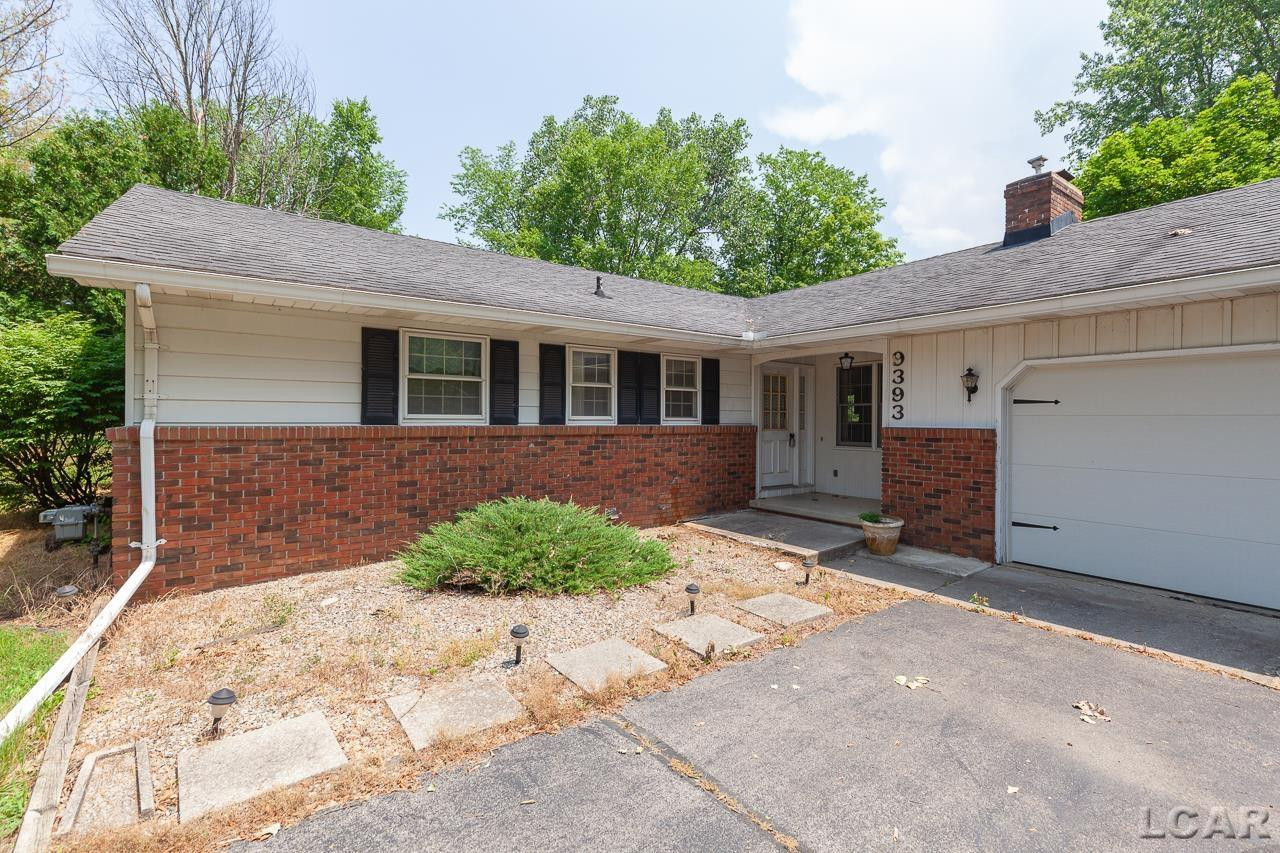 9393 Pleasant, Tecumseh, MI 49286 — Photo 3